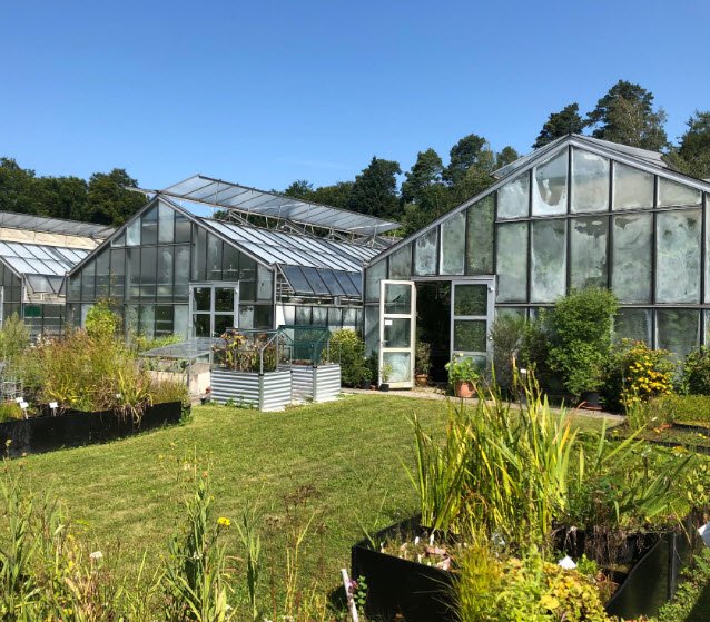 Botanischer Garten und Botanisches Forschungslabor der Universität Konstanz, Konstanz, Germany, Germany